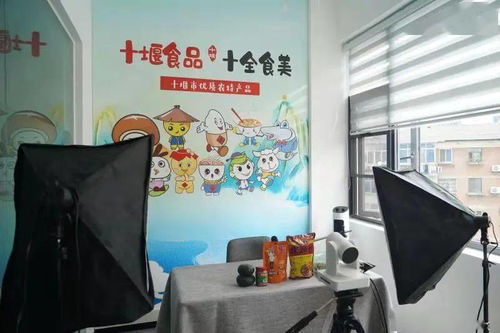 十堰新添文化地標，市民休閑打卡再添好去處